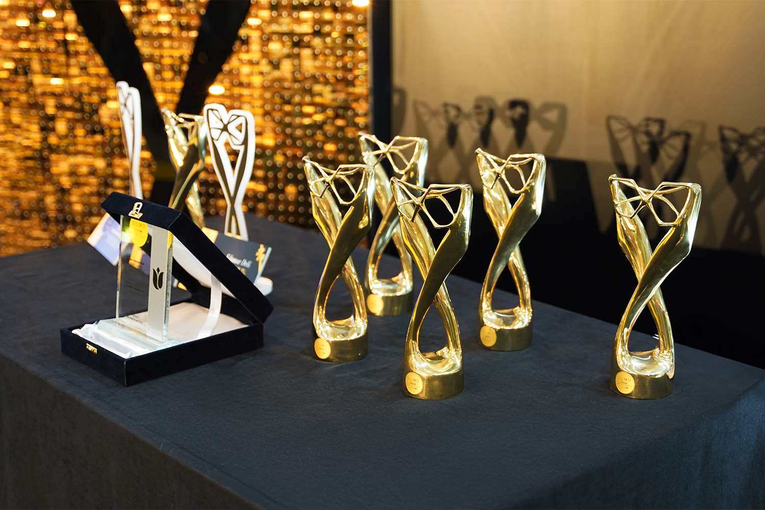 Silmo Award İstanbul 2025